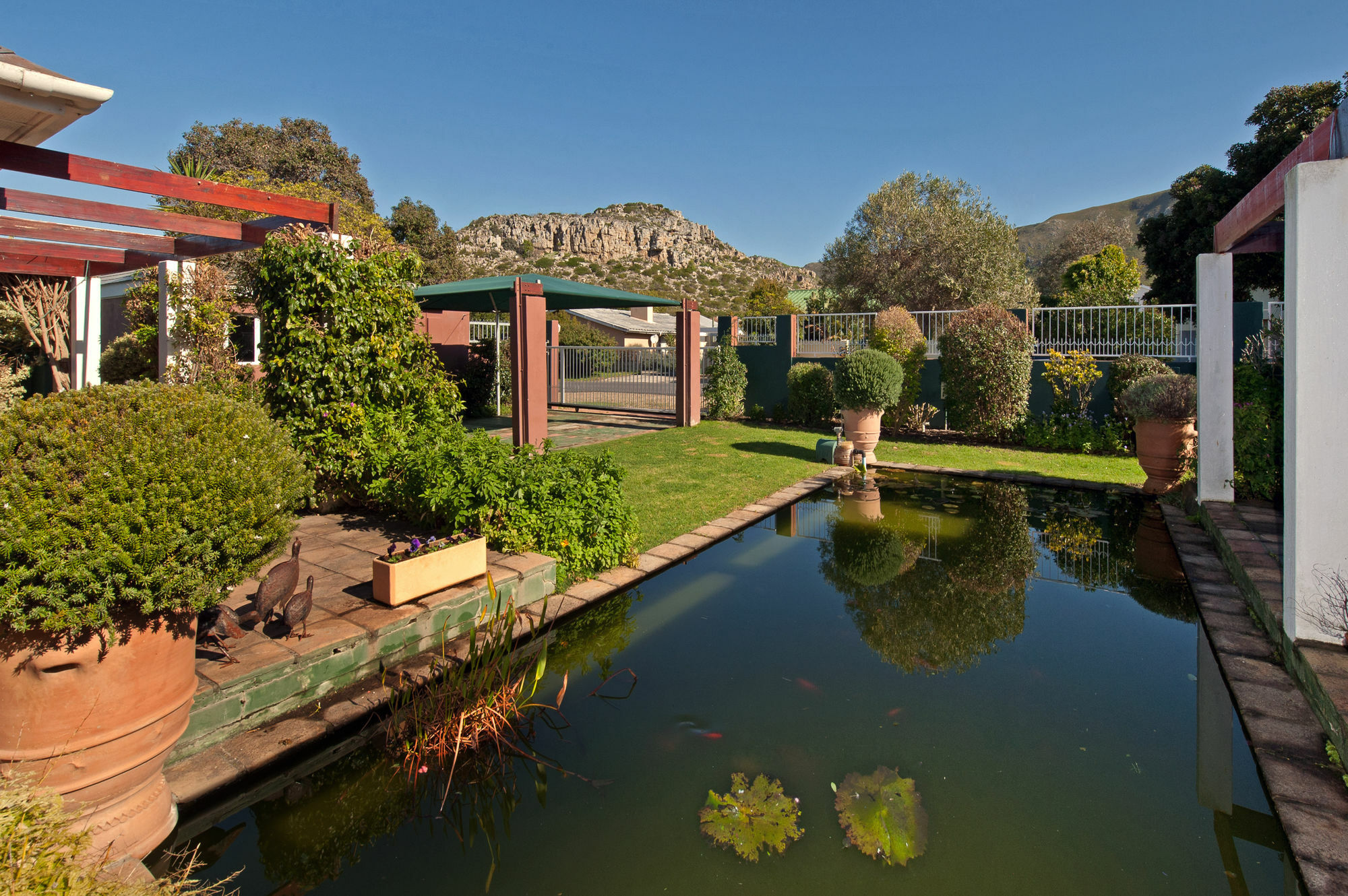 Brown Jug Guest House Hermanus Εξωτερικό φωτογραφία